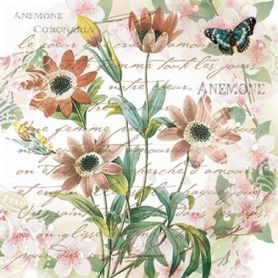 Vintage Anemones II Canvas Art - Denise Urban (24 x 24)