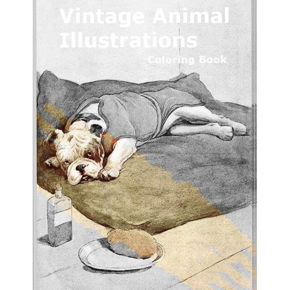 Vintage Animal Illustrations: Coloring Book for adults 8 Classic Scientific Drawings of Animals Libro da colorare per ad, (Paperback)
