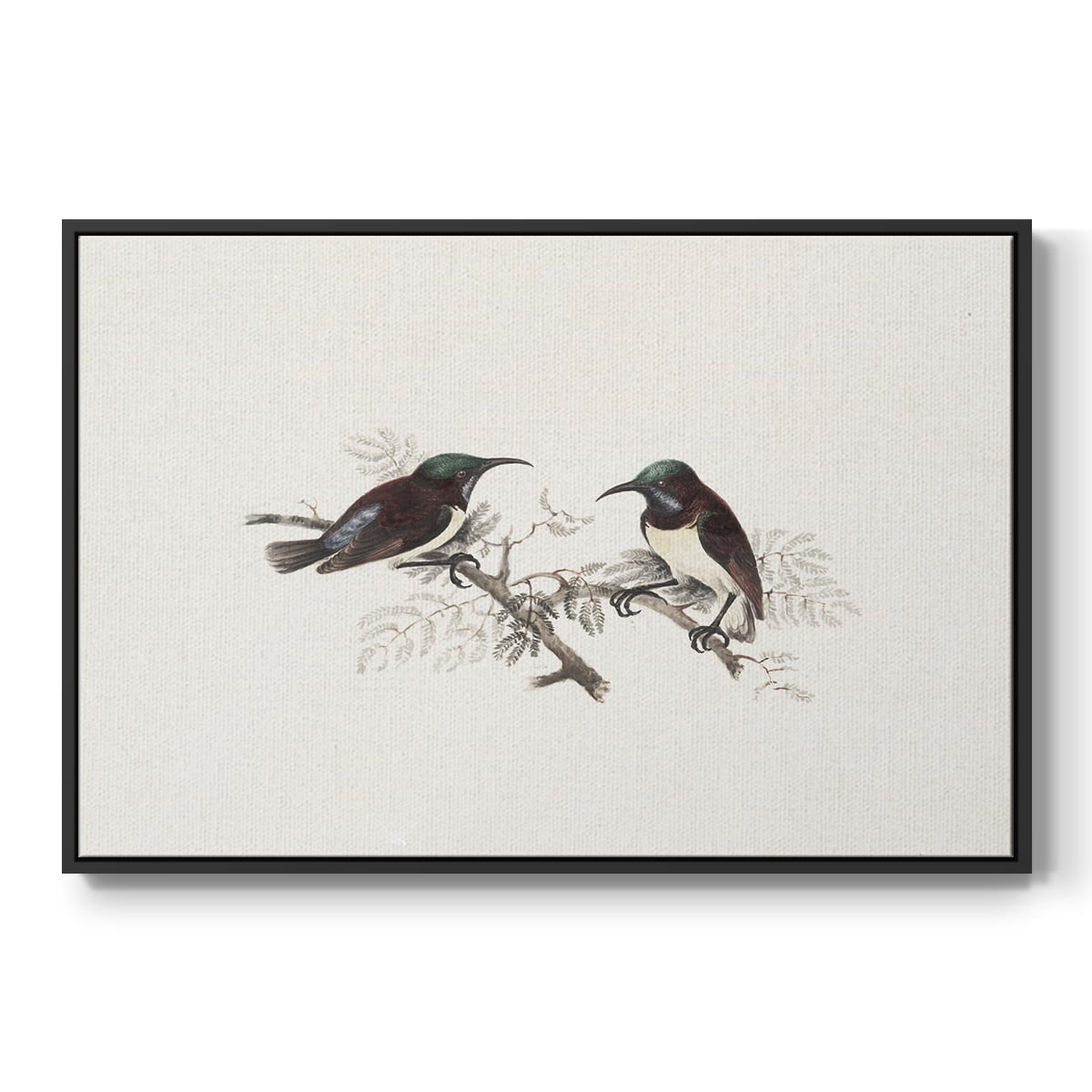 Vintage Animal Print-III By Wexford Home Framed in Black Wood Gallery Wrapped Canvas 25 in. x 37 in.