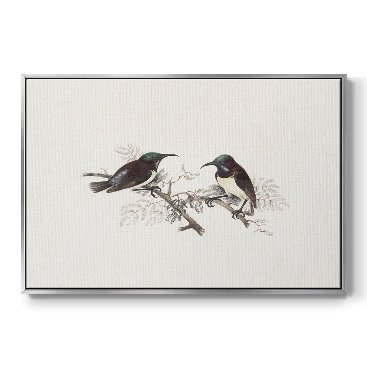 Vintage Animal Print-III By Wexford Home Framed in Silver Wood Gallery Wrapped Canvas 27 in. x 41 in.