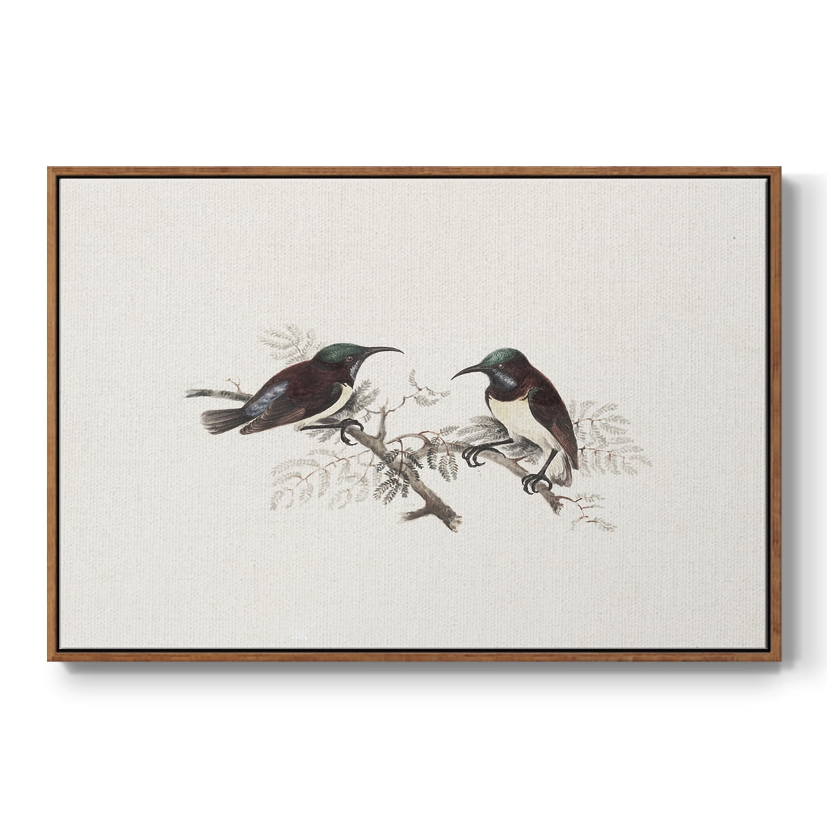 Vintage Animal Print-III By Wexford Home Framed in Walnut Wood Gallery Wrapped Canvas 17 in. x 25 in.