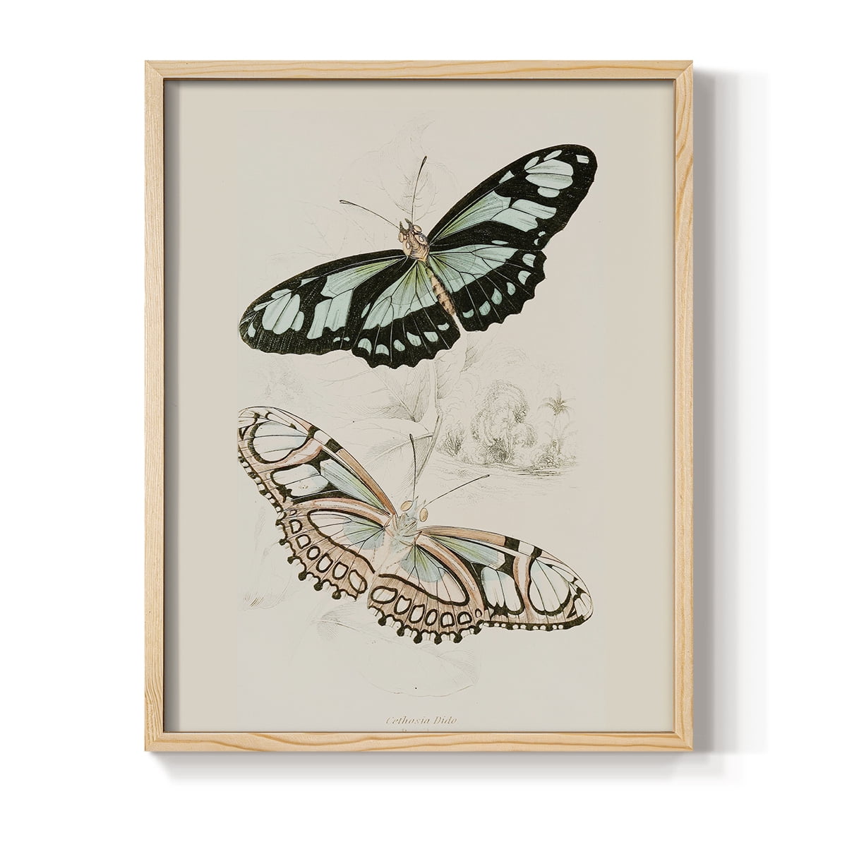 Vintage Animal Print L - 14in. x 11in. Vintage Framed Print in Natural Wood Frame