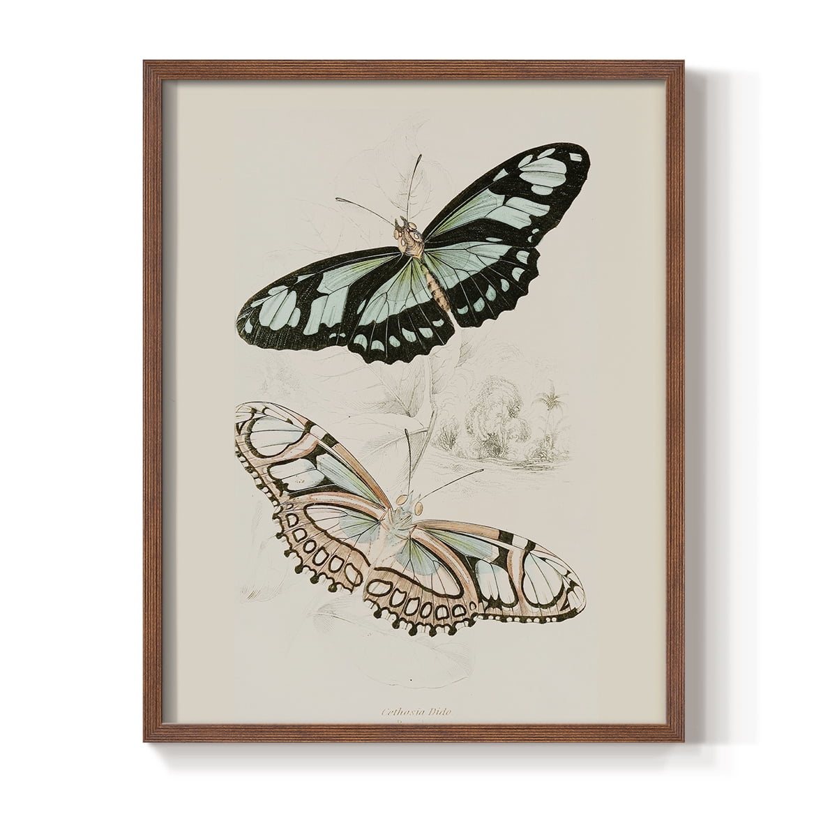 Vintage Animal Print L - 14in. x 11in. Vintage Framed Print in Walnut Wood Frame