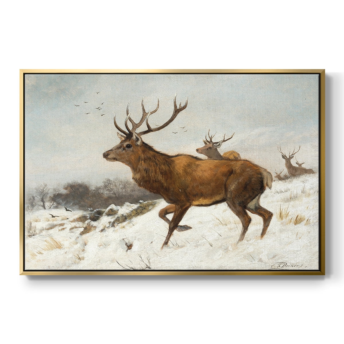 Vintage Animal Print-V By Wexford Home Framed in Gold Wood Gallery Wrapped Canvas 27 in. x 41 in.