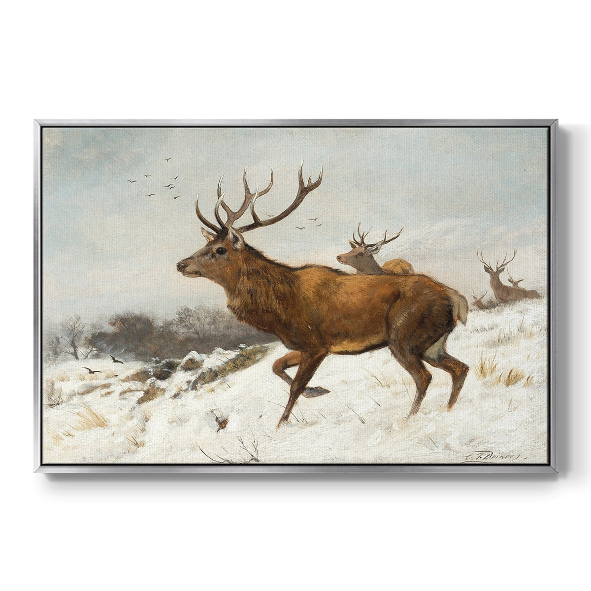 Vintage Animal Print-V By Wexford Home Framed in Silver Wood Gallery Wrapped Canvas 27 in. x 41 in.