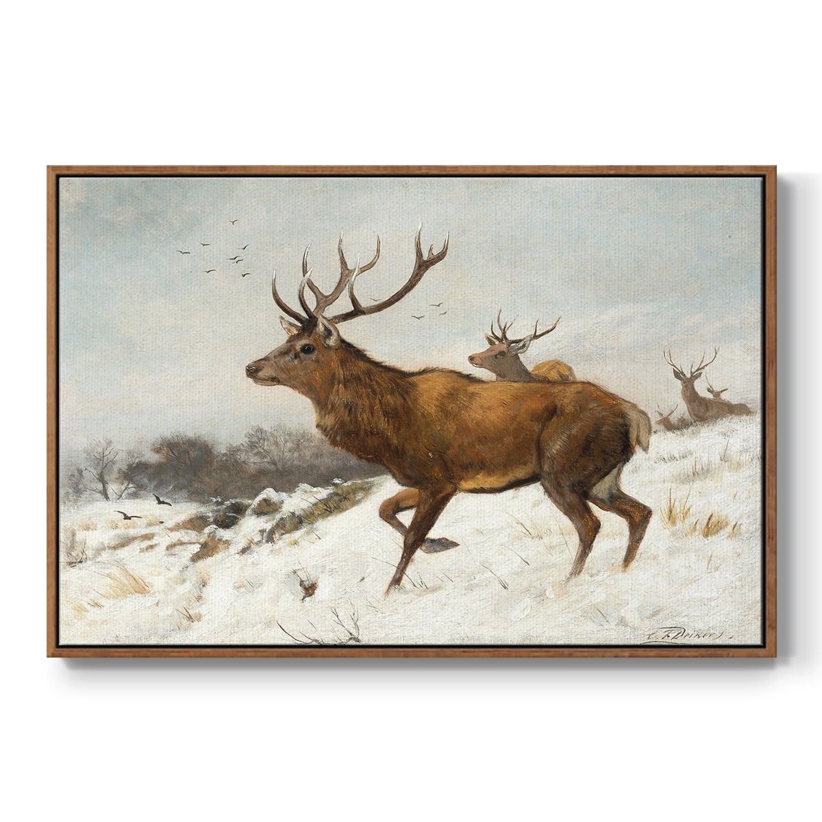 Vintage Animal Print-V By Wexford Home Framed in Walnut Wood Gallery Wrapped Canvas 17 in. x 25 in.
