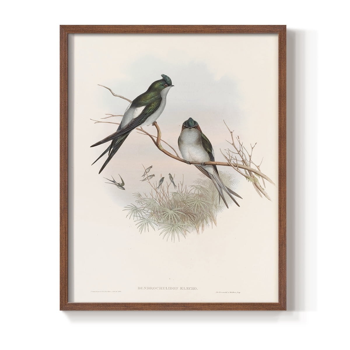 Vintage Animal Print X - 10in. x 8in. Vintage Framed Print in Walnut Wood Frame