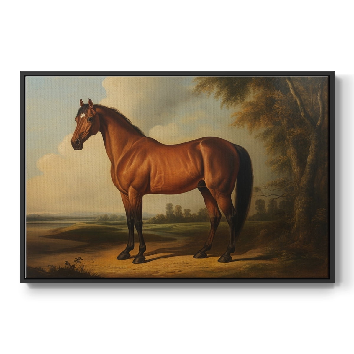 Vintage Animal Print-XI By Wexford Home Framed in Black Wood Gallery Wrapped Canvas 17 in. x 25 in.