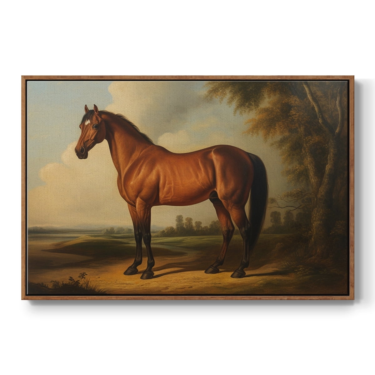 Vintage Animal Print-XI By Wexford Home Framed in Walnut Wood Gallery Wrapped Canvas 27 in. x 41 in.