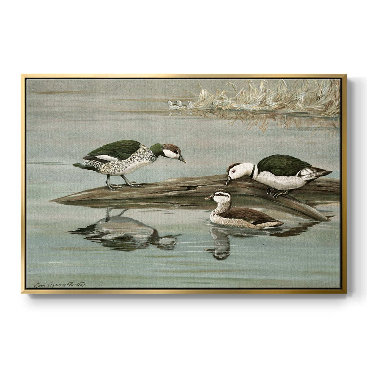 Vintage Animal Print-XIX By Wexford Home Framed in Gold Wood Gallery Wrapped Canvas 27 in. x 41 in.