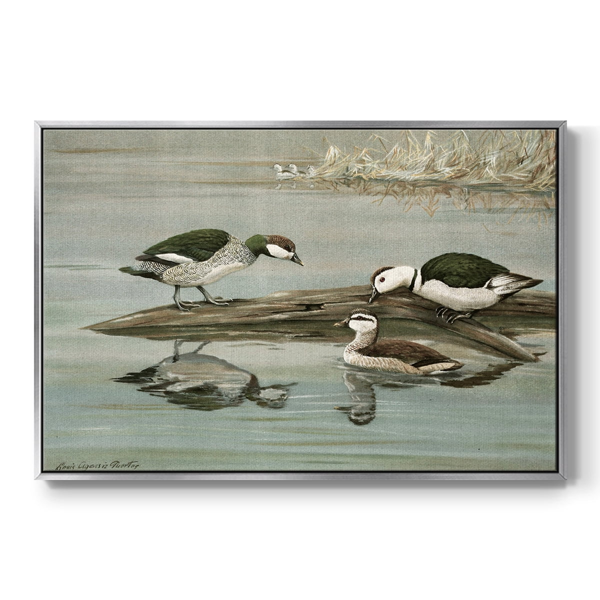 Vintage Animal Print-XIX By Wexford Home Framed in Silver Wood Gallery Wrapped Canvas 25 in. x 37 in.