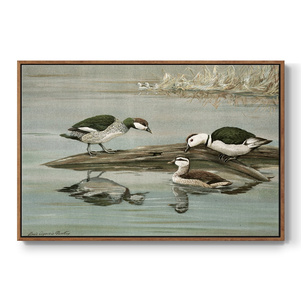 Vintage Animal Print-XIX By Wexford Home Framed in Walnut Wood Gallery Wrapped Canvas 17 in. x 25 in.