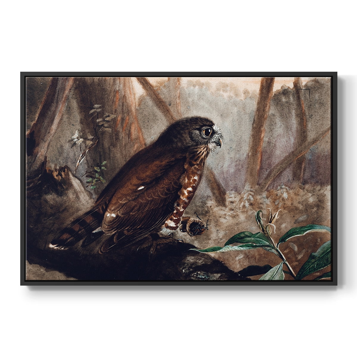 Vintage Animal Print-XVII By Wexford Home Framed in Black Wood Gallery Wrapped Canvas 25 in. x 37 in.