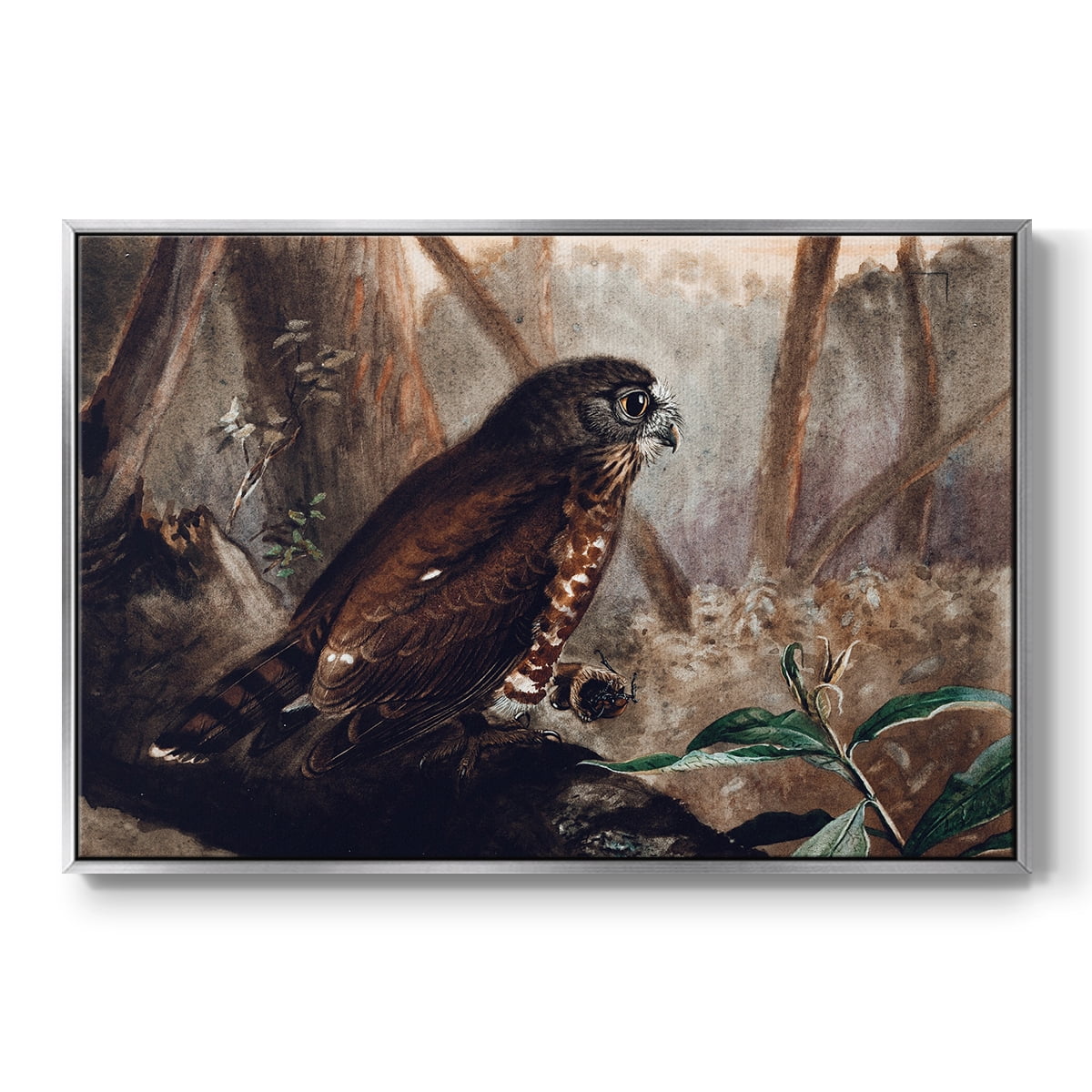 Vintage Animal Print-XVII By Wexford Home Framed in Silver Wood Gallery Wrapped Canvas 27 in. x 41 in.