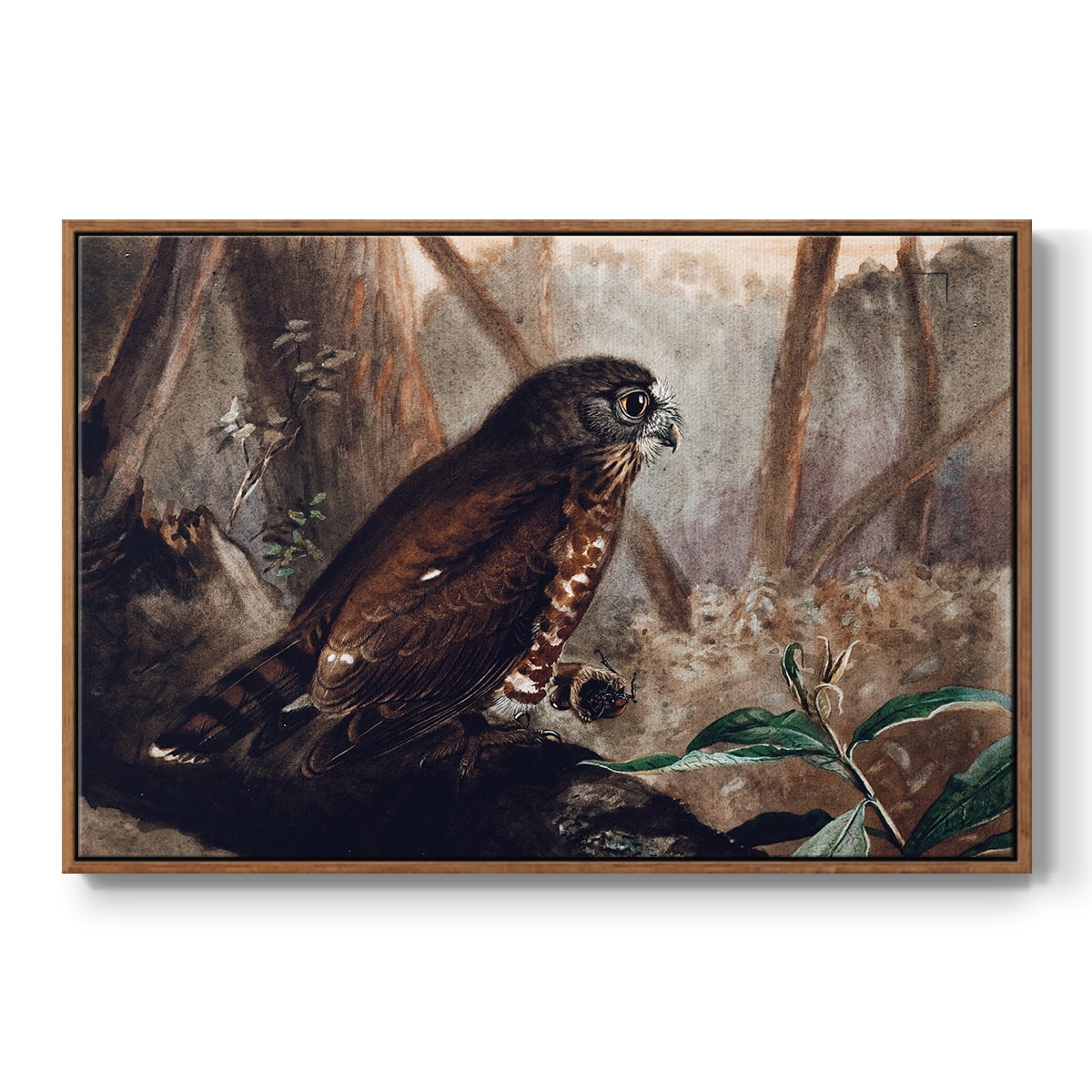 Vintage Animal Print-XVII By Wexford Home Framed in Walnut Wood Gallery Wrapped Canvas 17 in. x 25 in.