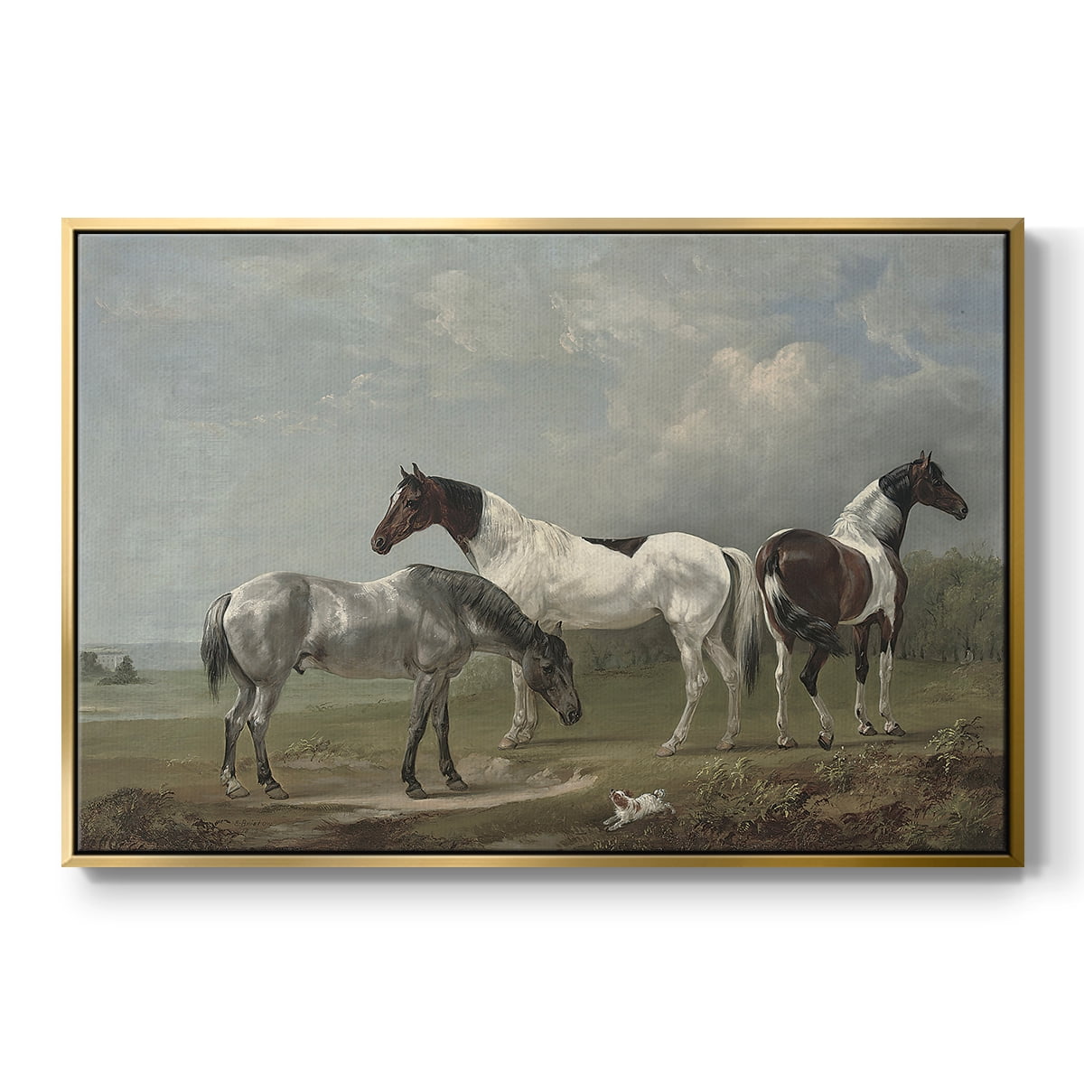 Vintage Animal Print-XX By Wexford Home Framed in Gold Wood Gallery Wrapped Canvas 17 in. x 25 in.