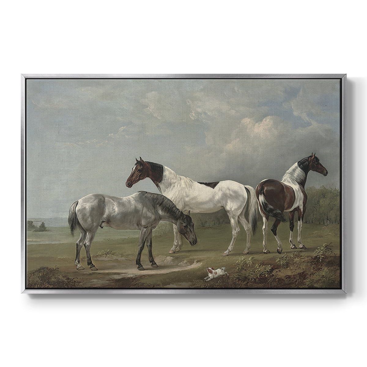 Vintage Animal Print-XX By Wexford Home Framed in Silver Wood Gallery Wrapped Canvas 27 in. x 41 in.