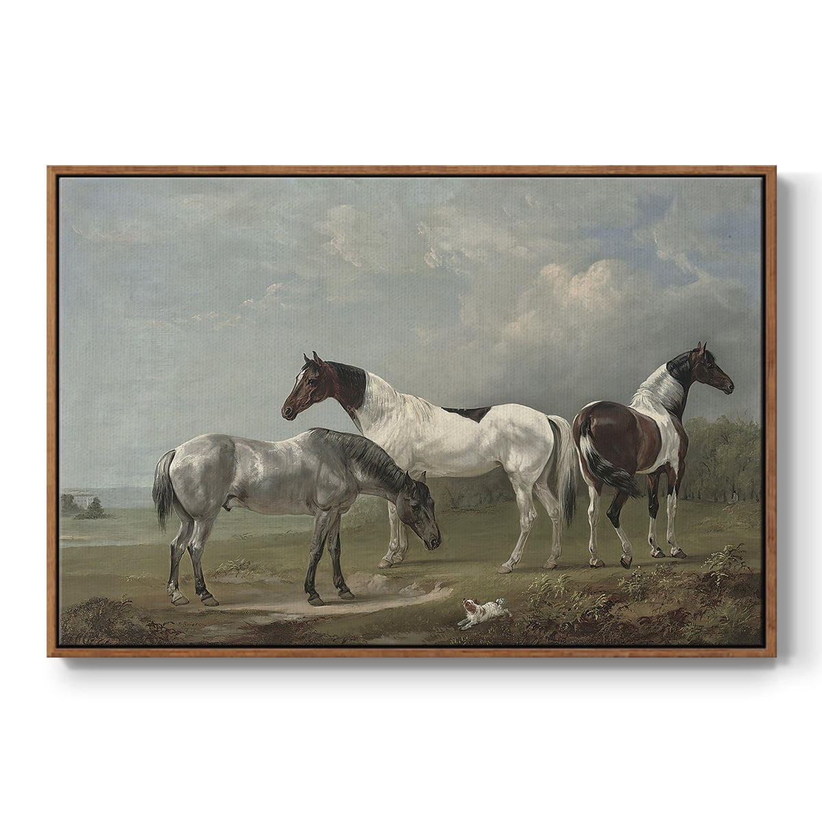 Vintage Animal Print-XX By Wexford Home Framed in Walnut Wood Gallery Wrapped Canvas 17 in. x 25 in.