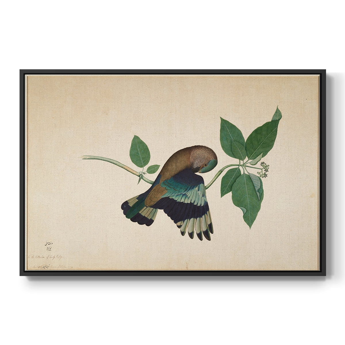 Vintage Animal Print-XXII By Wexford Home Framed in Black Wood Gallery Wrapped Canvas 17 in. x 25 in.