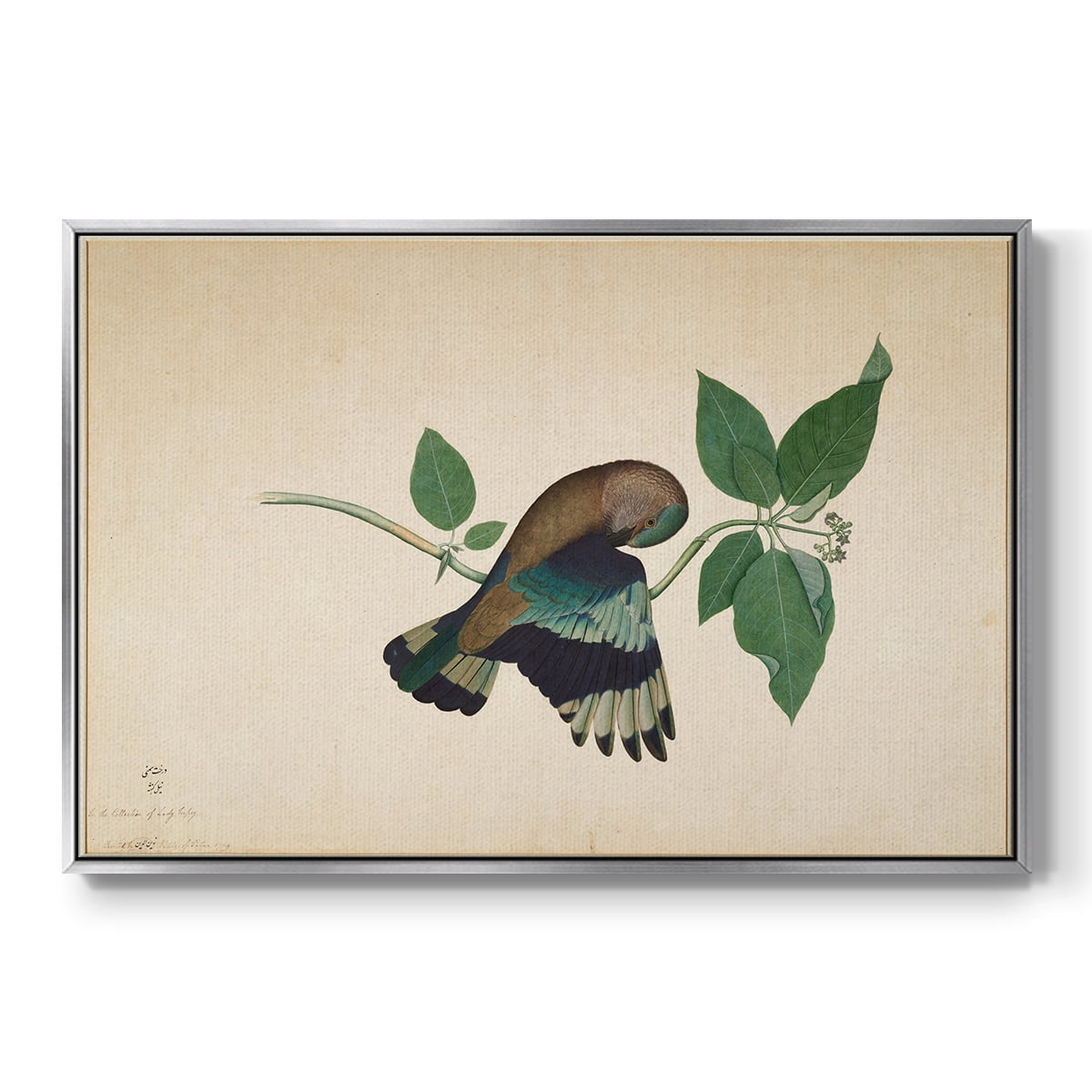 Vintage Animal Print-XXII By Wexford Home Framed in Silver Wood Gallery Wrapped Canvas 17 in. x 25 in.
