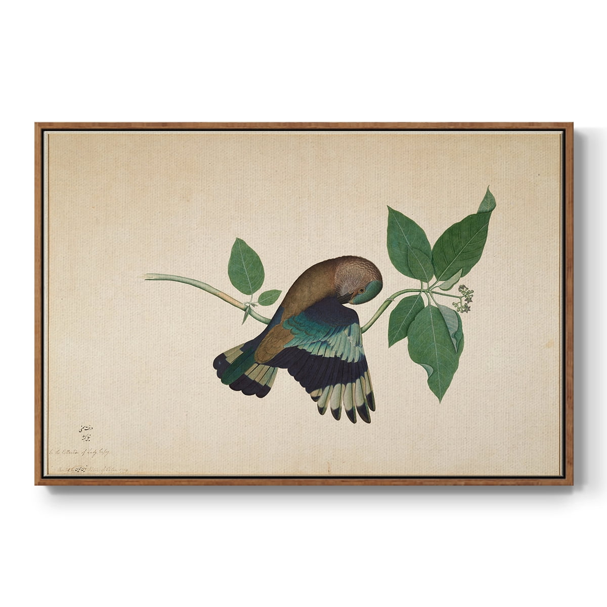 Vintage Animal Print-XXII By Wexford Home Framed in Walnut Wood Gallery Wrapped Canvas 17 in. x 25 in.