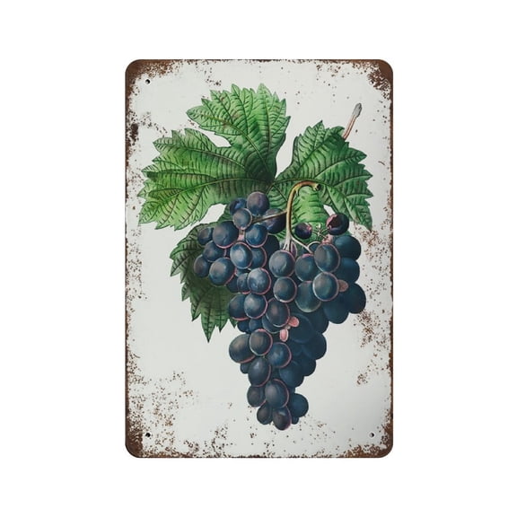 Vintage Antique Grape Print, Printable Wall Art, Fruit Printable, Wine tin sign, Plant Print Antique,Retro style, farmhouse decoration, home, bar, restaurant, garage, tin sign 5.5x 8 inches
