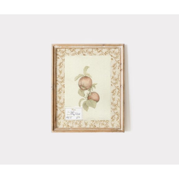 Vintage Apple Branch Print, Rustic Autumn Wall Decor Home Decor #175, Stretched Canvas Size 12x18