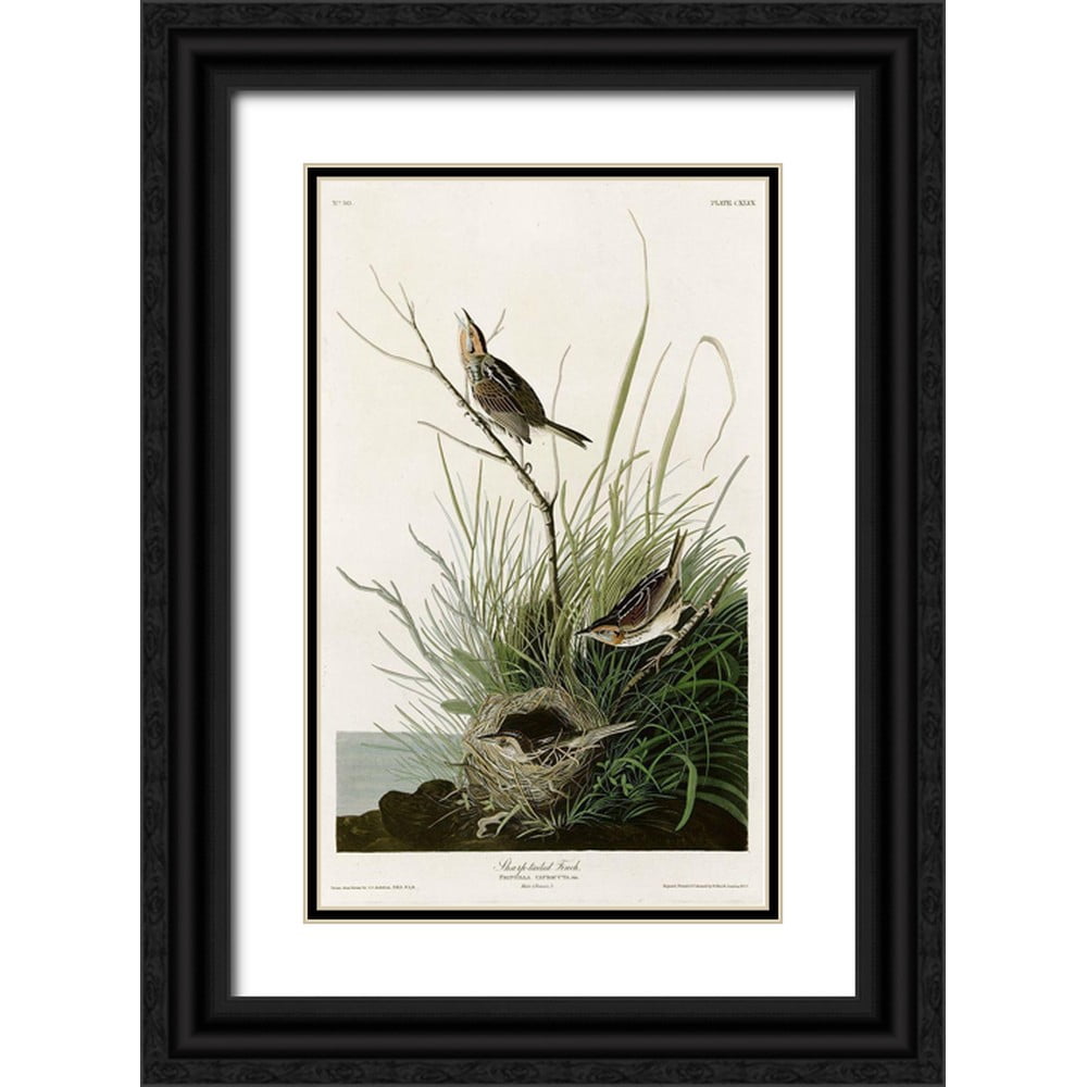 絵画 Apple Vintage Apple Collection 21x32 White Modern Wood Framed