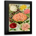 thumbnail image 1 of Vintage Apple Collection 11x14 Black Modern Framed Museum Art Print Titled - 1893 Maules See Geraniums, 1 of 5
