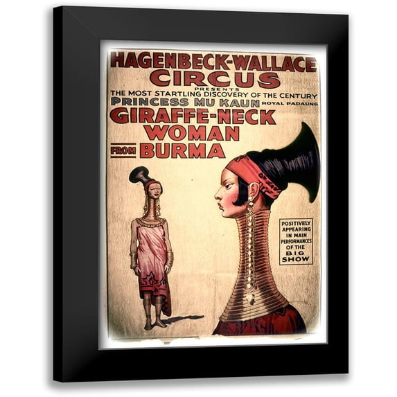 Vintage Apple Collection 11x14 Black Modern Framed Museum Art Print Titled - Giraffe-Neck