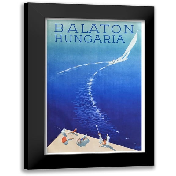 Vintage Apple Collection 11x14 Black Modern Framed Museum Art Print Titled - Hungaria