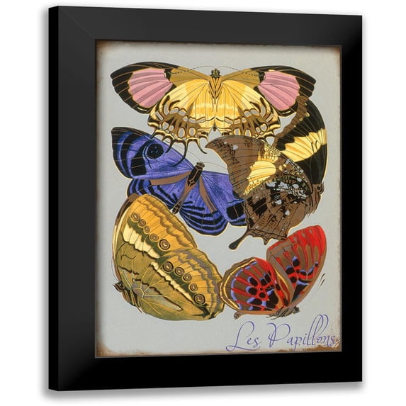 Vintage Apple Collection 11x14 Black Modern Framed Museum Art Print Titled - Les Papillons Multicolor