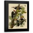 thumbnail image 1 of Vintage Apple Collection 11x14 Black Modern Framed Museum Art Print Titled - Pileated Woodpecker, 1 of 5