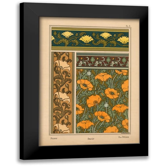 Vintage Apple Collection 11x14 Black Modern Framed Museum Art Print Titled - Plate 05 - Poppy