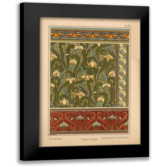 Vintage Apple Collection 11x14 Black Modern Framed Museum Art Print Titled - Plate 32 - Snowdrop