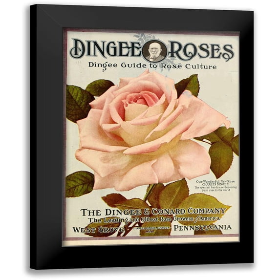 Vintage Apple Collection 11x14 Black Modern Framed Museum Art Print Titled - dingeeguide