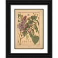 thumbnail image 1 of Vintage Apple Collection 11x14 Black Ornate Wood Framed with Double Matting Museum Art Print Titled -  Plate 49 - Lilac, 1 of 4