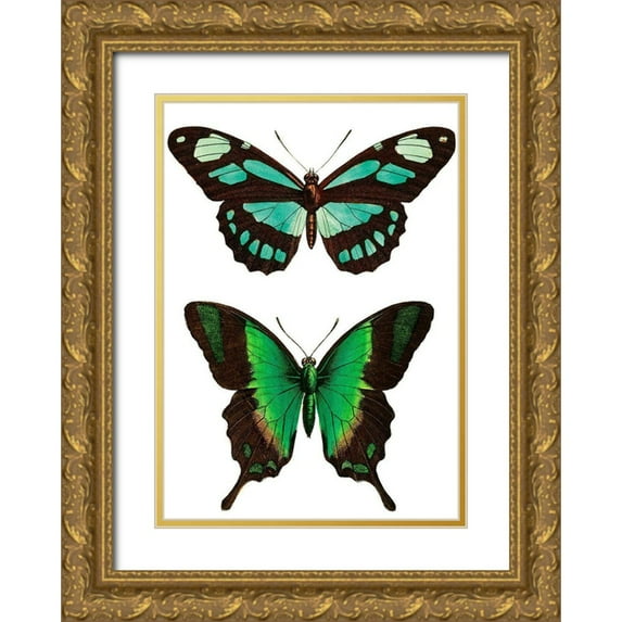 Vintage Apple Collection 11x14 Gold Ornate Wood Framed with Double Matting Museum Art Print Titled - Aqua Butterflies