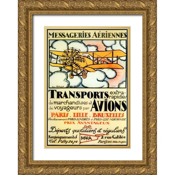 Vintage Apple Collection 11x14 Gold Ornate Wood Framed with Double Matting Museum Art Print Titled - Avions