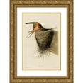 thumbnail image 1 of Vintage Apple Collection 11x14 Gold Ornate Wood Framed with Double Matting Museum Art Print Titled - Barn Swallow, 1 of 4