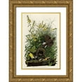 thumbnail image 1 of Vintage Apple Collection 11x14 Gold Ornate Wood Framed with Double Matting Museum Art Print Titled - Meadow Lark, 1 of 4