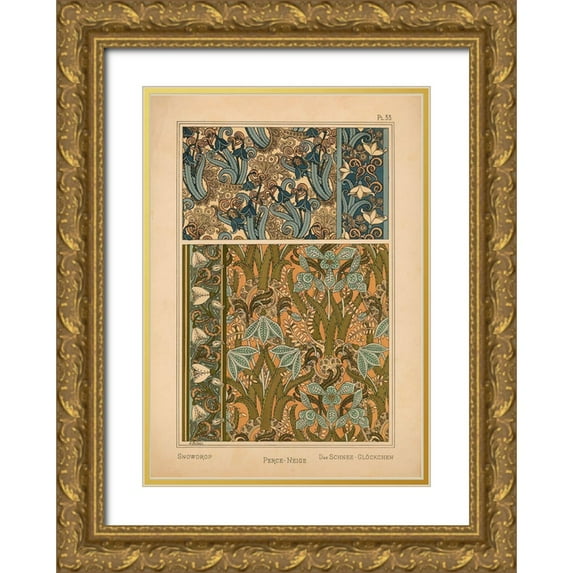 Vintage Apple Collection 11x14 Gold Ornate Wood Framed with Double Matting Museum Art Print Titled -  Plate 33 - Snowdrop