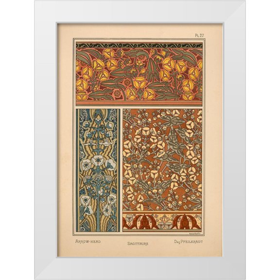 Vintage Apple Collection 11x14 White Modern Wood Framed Museum Art Print Titled -  Plate 27 - Arrow-Head