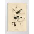 thumbnail image 1 of Vintage Apple Collection 11x14 White Modern Wood Framed Museum Art Print Titled - Snowbird, 1 of 4