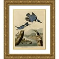 thumbnail image 1 of Vintage Apple Collection 12x14 Gold Ornate Wood Framed with Double Matting Museum Art Print Titled - Belted Kingfisher, 1 of 4