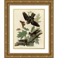 thumbnail image 1 of Vintage Apple Collection 12x14 Gold Ornate Wood Framed with Double Matting Museum Art Print Titled - Whipporwill, 1 of 4