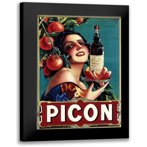 Vintage Apple Collection 13x18 Black Modern Framed Museum Art Print Titled - Picon Liquor