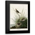 thumbnail image 1 of Vintage Apple Collection 13x18 Black Modern Framed Museum Art Print Titled - Sharp Tailed Finch, 1 of 5