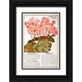 thumbnail image 1 of Vintage Apple Collection 13x18 Black Ornate Wood Framed with Double Matting Museum Art Print Titled - Cyclamen, 1 of 4