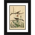 thumbnail image 1 of Vintage Apple Collection 13x18 Black Ornate Wood Framed with Double Matting Museum Art Print Titled - Savannah Finch, 1 of 4